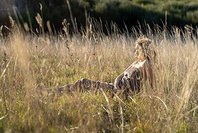 femme dans l'herbe lpev