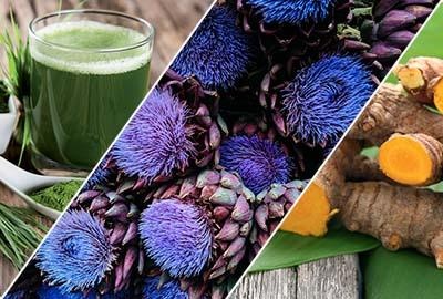 chlorella, curcuma et artichaut