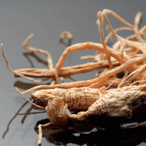 GINSENG Racine