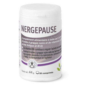 Nergepause - Laboratoire LPEV